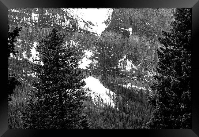 Snowy Sulphur Mountain Behind Trees Framed Print by Chris Hill