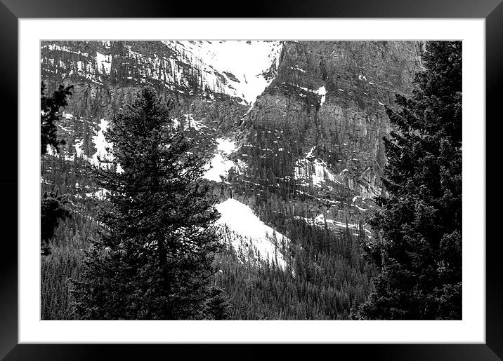 Snowy Sulphur Mountain Behind Trees Framed Mounted Print by Chris Hill