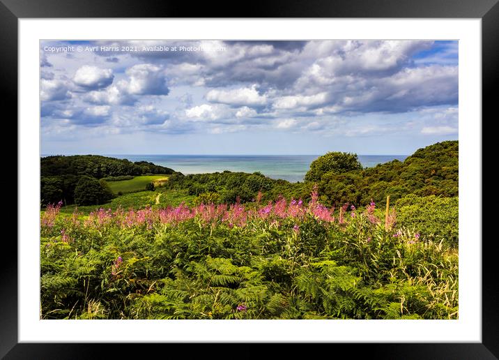 Tranquil Escape Coastal Path at Cromer Framed Mounted Print by Avril Harris