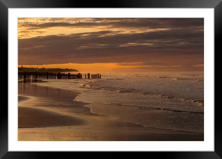 Tranquil summers evening at Walcott Beach Framed Mounted Print by Avril Harris