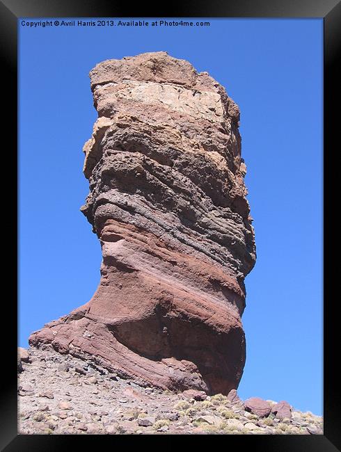 The Roque Cinchado Standing Tall Framed Print by Avril Harris