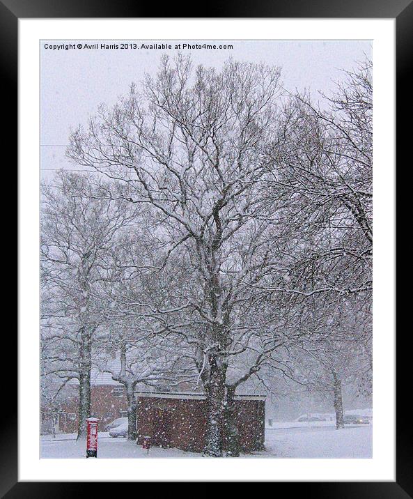 Post Box in the Snow Framed Mounted Print by Avril Harris