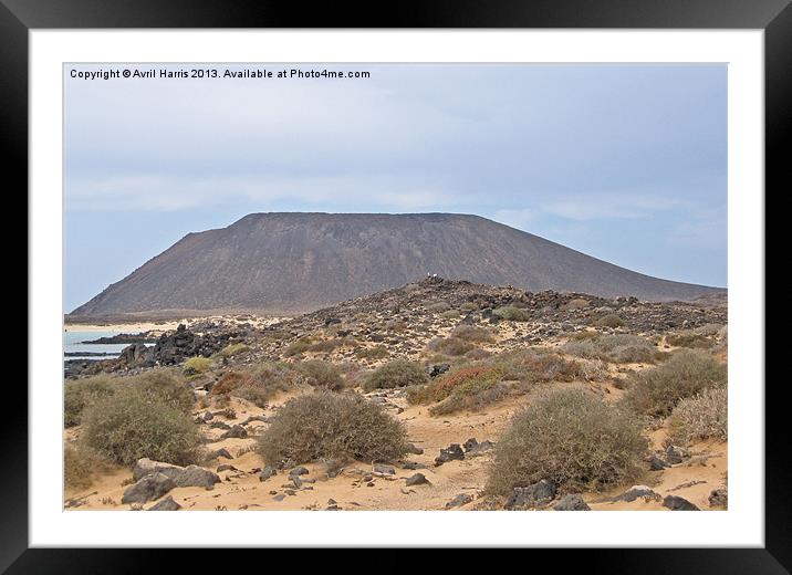 Volcanic Island Lobos Framed Mounted Print by Avril Harris