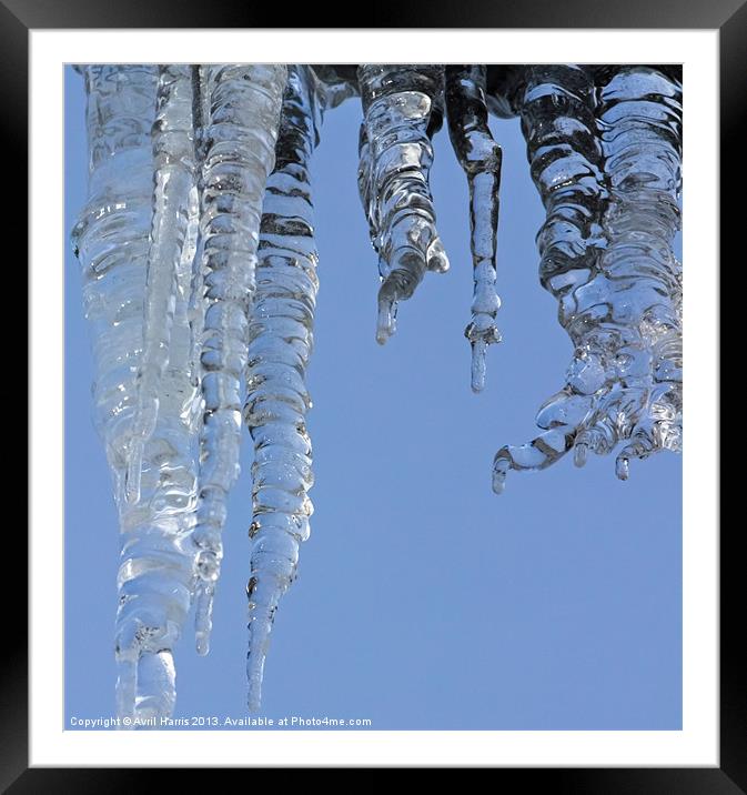 Clear blue sky with Icicles Framed Mounted Print by Avril Harris
