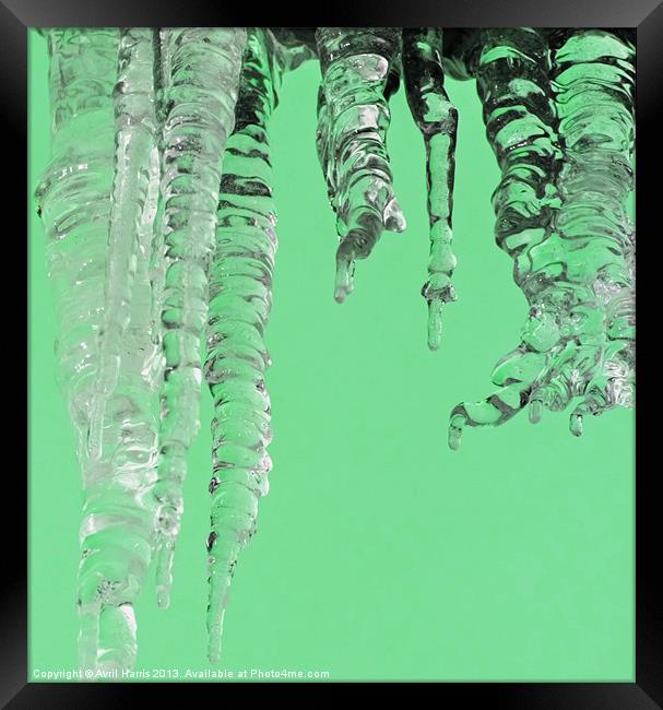Minted icicles Framed Print by Avril Harris