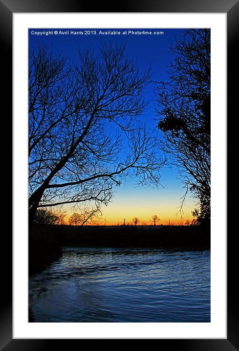 Silhouetted trees at sunset creek. Framed Mounted Print by Avril Harris