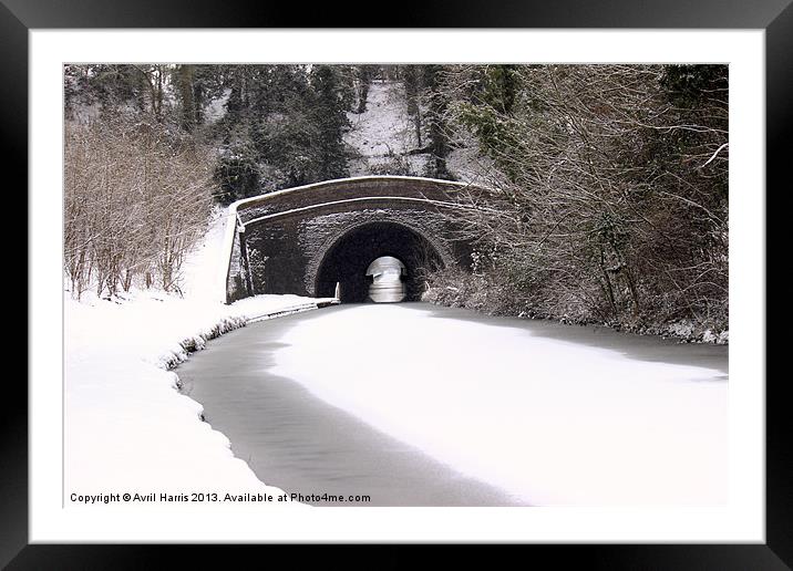 Snowing on the canal Framed Mounted Print by Avril Harris