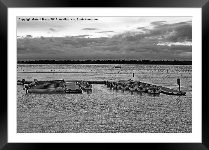 Black and White Moored Boats Framed Mounted Print by Avril Harris