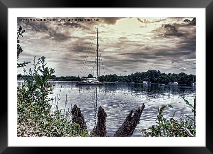 Yacht on Wroxham Broad. Framed Mounted Print by Avril Harris