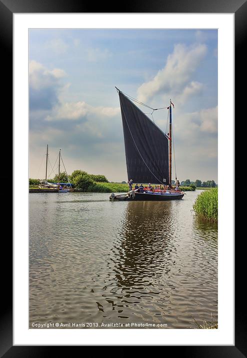 Albion on the River Thurne Framed Mounted Print by Avril Harris