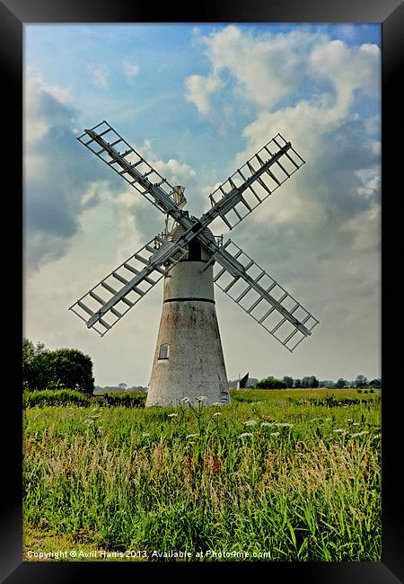Thurne Dyke Drainage Mill Framed Print by Avril Harris