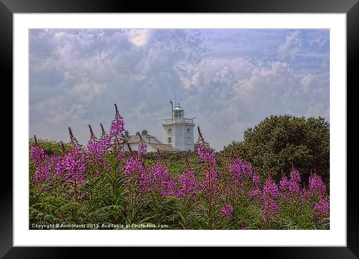 Purple flowers with Cromer lighthouse Framed Mounted Print by Avril Harris