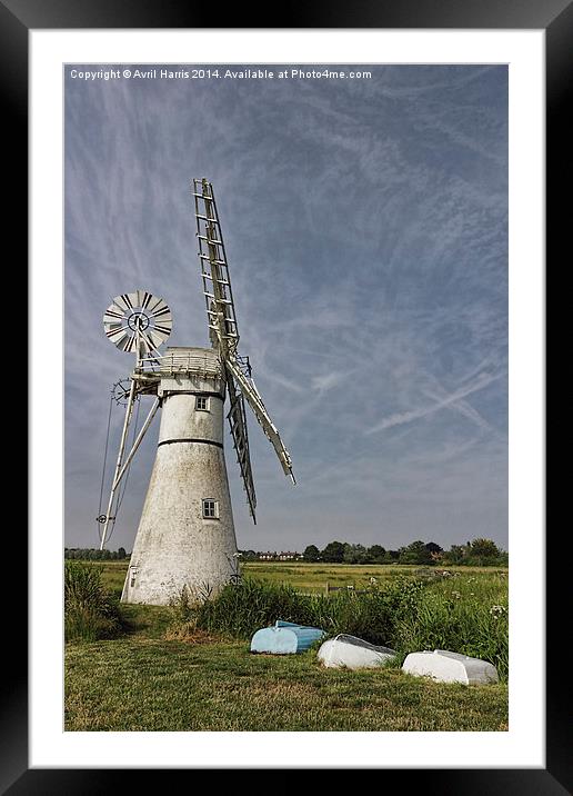 Thurne Dyke Mill and Boats Framed Mounted Print by Avril Harris