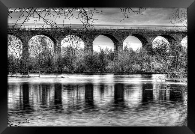 Viaduct at Reddish Vale Country Park Framed Print by Avril Harris