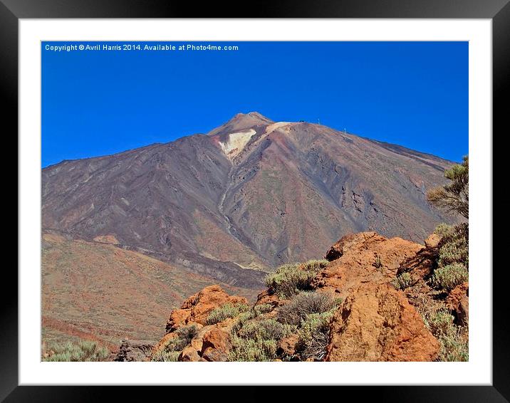 Mount Teide Tenerife Framed Mounted Print by Avril Harris