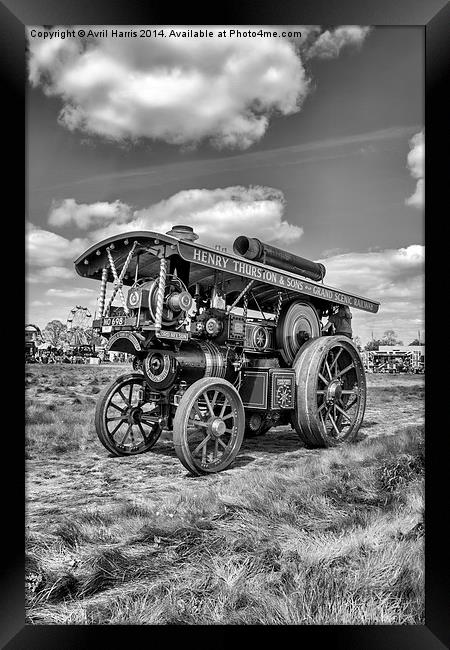 Showmans Engine "Lord Nelson" Black and White Framed Print by Avril Harris