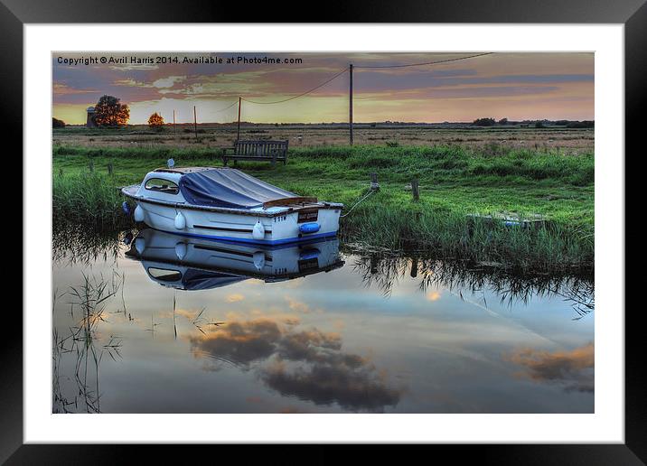 Boat at West Somerton  Framed Mounted Print by Avril Harris