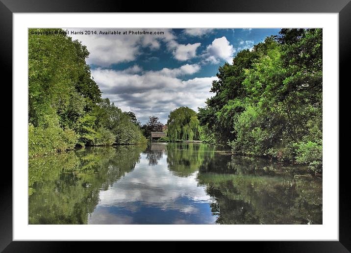 River Bure Wroxham to Coltishall Framed Mounted Print by Avril Harris