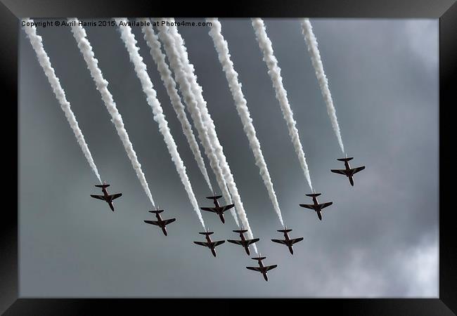  Red Arrows Framed Print by Avril Harris