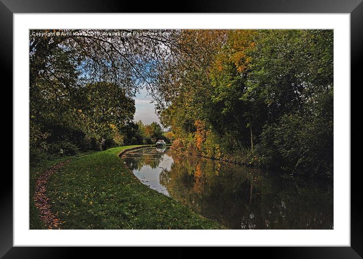  Oxford Canal in the Autumn Framed Mounted Print by Avril Harris