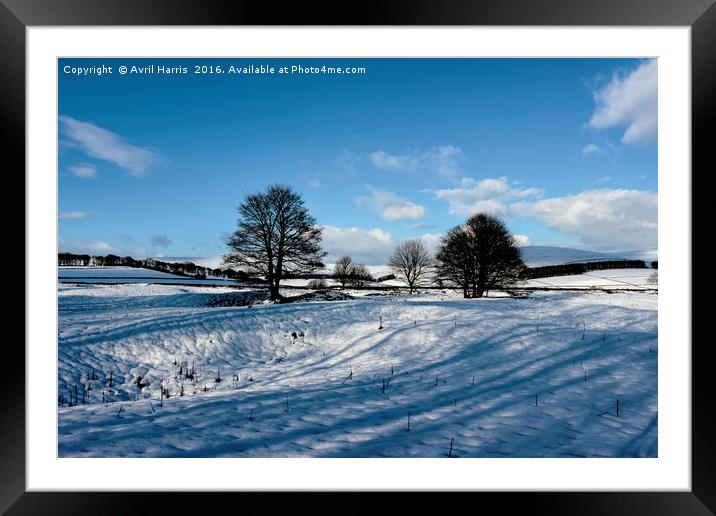 Sparrow pit the peaks. Framed Mounted Print by Avril Harris