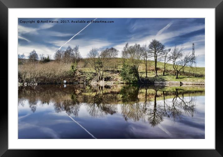 Healey Dell Pool Framed Mounted Print by Avril Harris