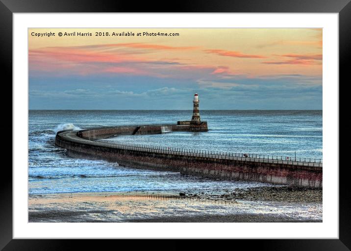 Roker Pier and Lighthouse Framed Mounted Print by Avril Harris