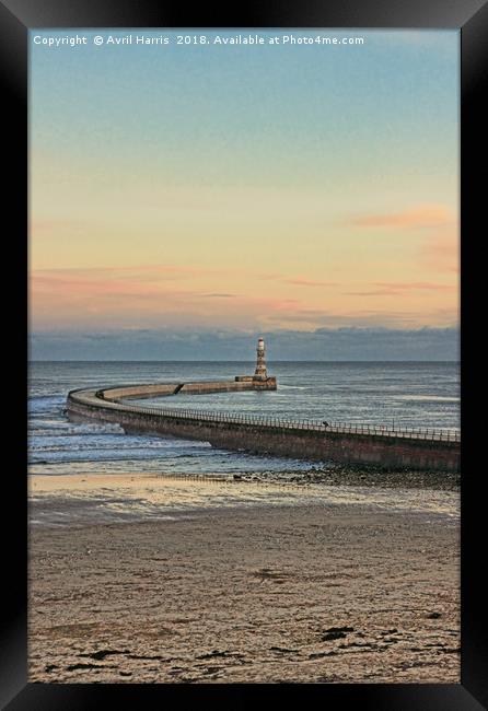 Roker Pier and Lighthouse Sunderland Framed Print by Avril Harris