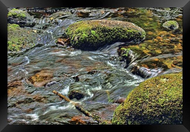 River Dart at Dartmeet Dartmoor Framed Print by Avril Harris