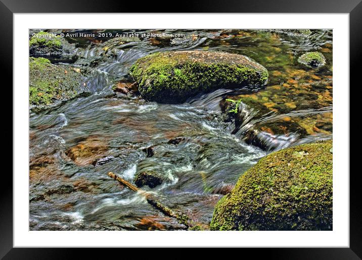 River Dart at Dartmeet Dartmoor Framed Mounted Print by Avril Harris