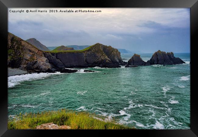 Screda Cove, Hartland Quay, Devon Framed Print by Avril Harris