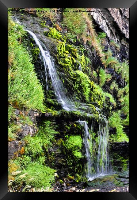 St Catherine's Tor Waterfall Framed Print by Avril Harris