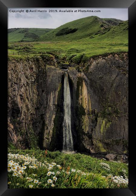 Spekes Mill Mouth Waterfall Devon Framed Print by Avril Harris