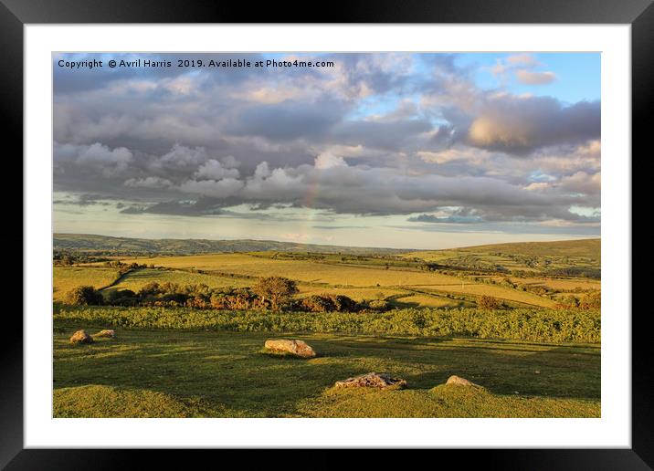 Summers Evening on Dartmoor Framed Mounted Print by Avril Harris