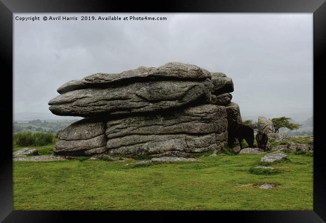 Combestone Tor Dartmoor Devon Framed Print by Avril Harris