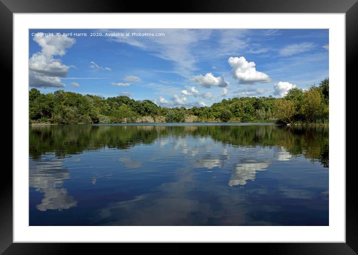 Newbold Quarry Park Framed Mounted Print by Avril Harris