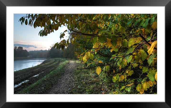 Capturing Autumn Framed Mounted Print by Stephen Paul Cahill