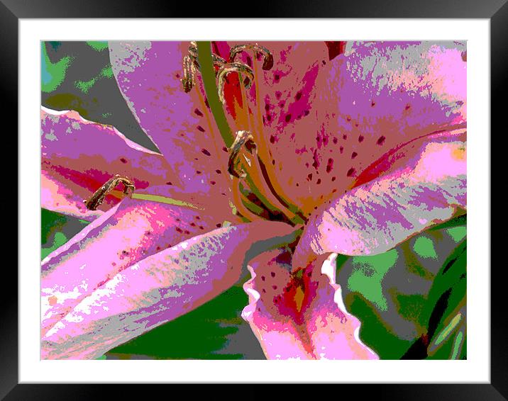 pop art Lily Framed Mounted Print by carin severn