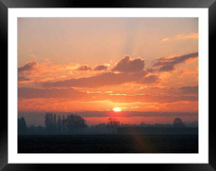 morning frost Framed Mounted Print by carin severn