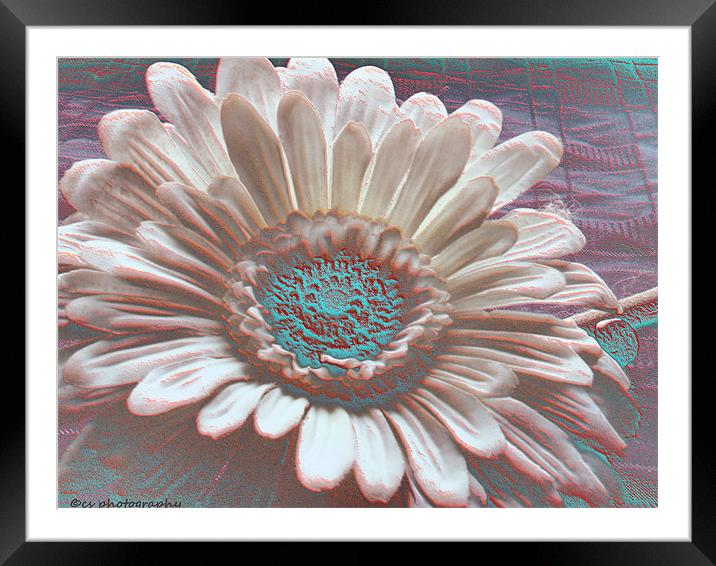 flower of color Framed Mounted Print by carin severn