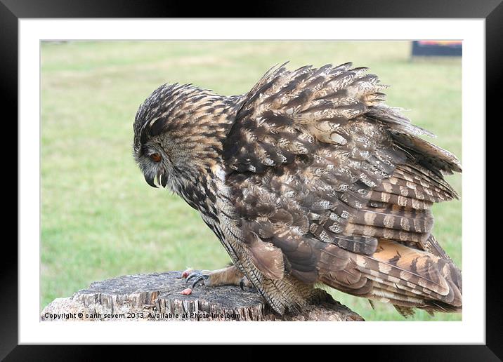 Eagle Owl Framed Mounted Print by carin severn