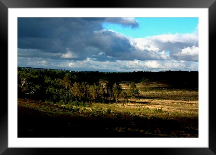 storm clouds Framed Mounted Print by carin severn