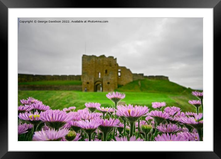 Flowers at the Castle Framed Mounted Print by George Davidson