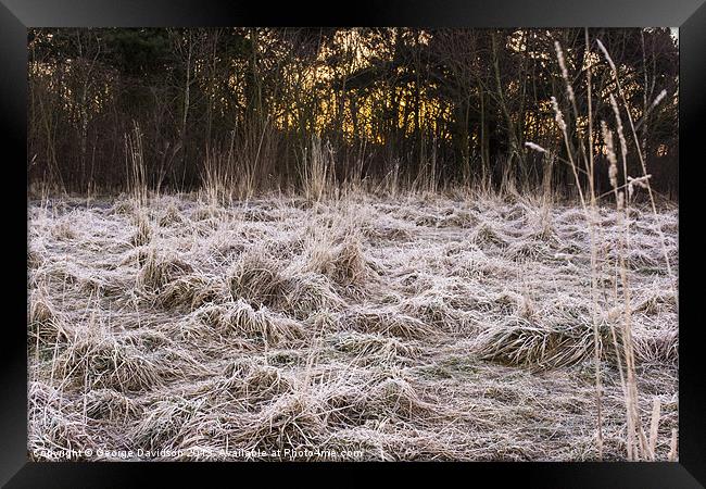 Frosted Sunrise Framed Print by George Davidson