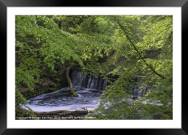 Enchanted Pool Framed Mounted Print by George Davidson