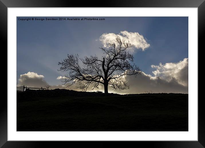 Yorkshire Tree Framed Mounted Print by George Davidson