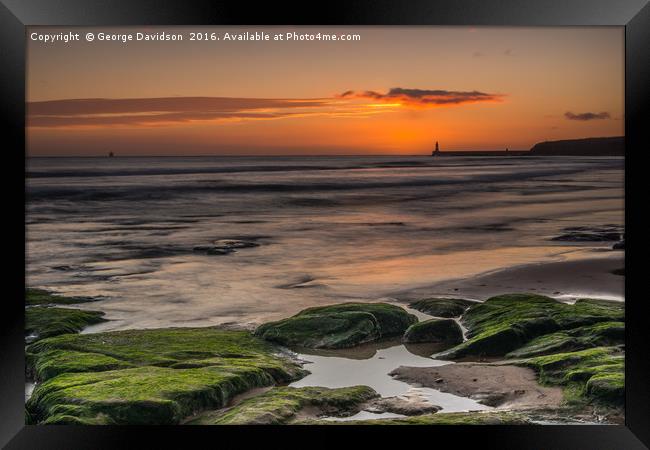 Reaching 04 Framed Print by George Davidson