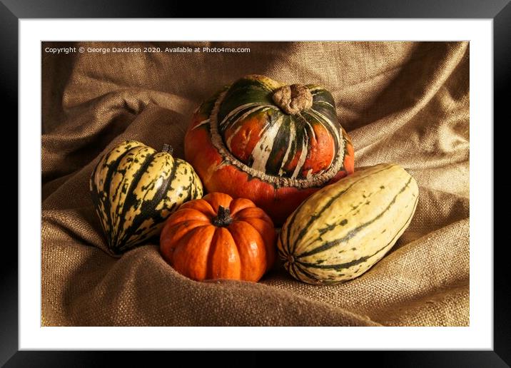Winter Squash Framed Mounted Print by George Davidson