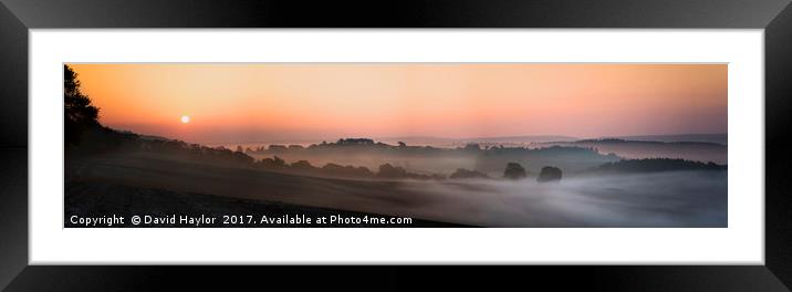 Early Morning at Newlands Corner Framed Mounted Print by David Haylor