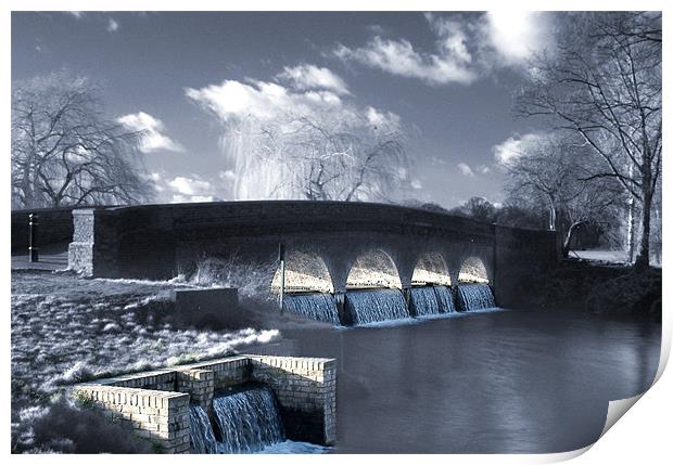 The 5 arches, Footscray Meadows Print by Jonathan Pankhurst
